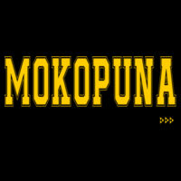 Mokopuna Kids Hoody Design