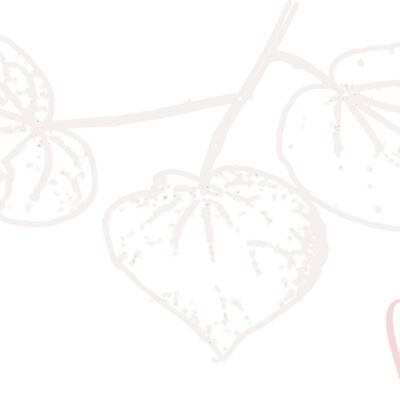 kawakawa 002 logo Thumbnail